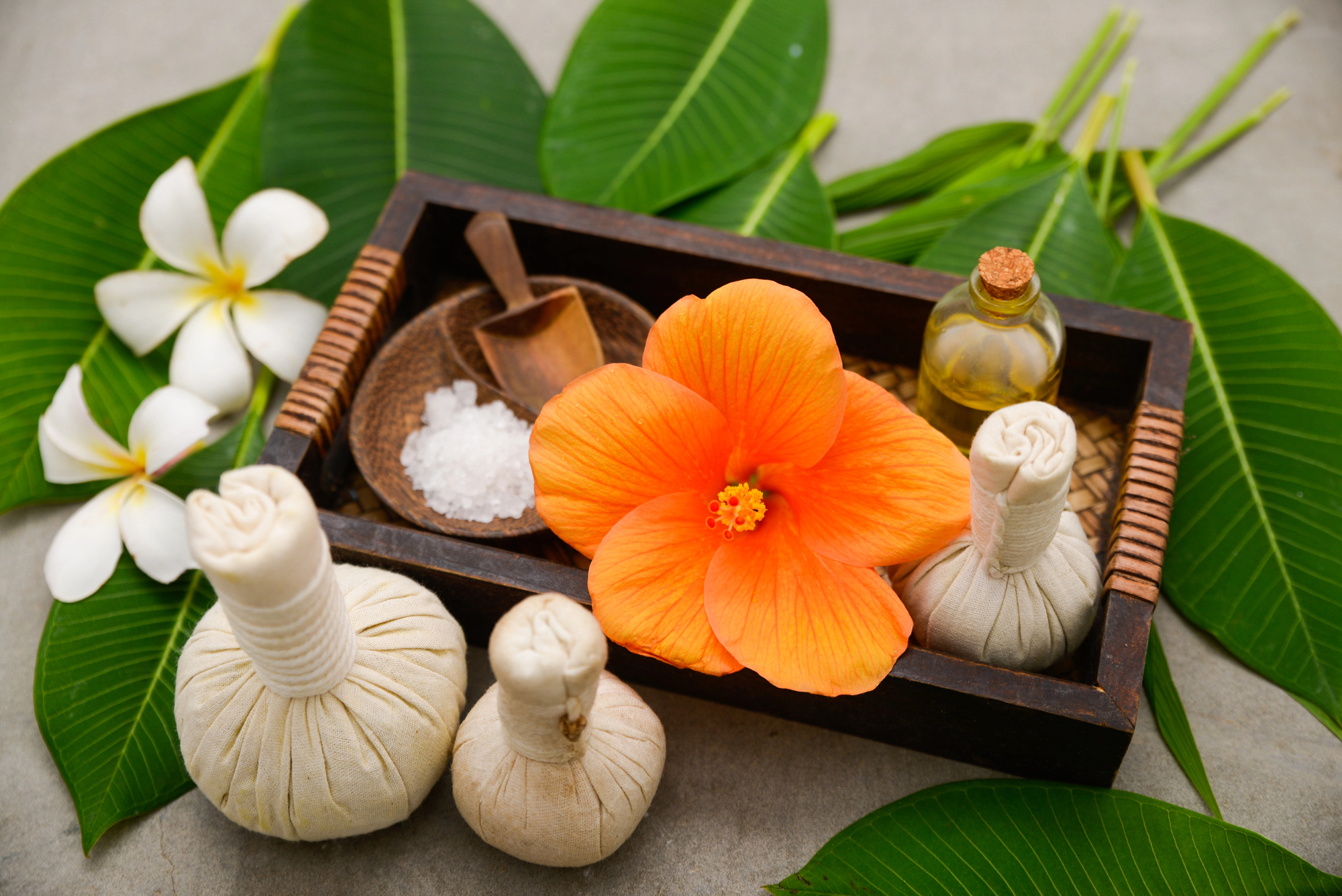 10 Days / 9 Nights – Ayurveda Healing & Wellness Retreat in Sri Lanka